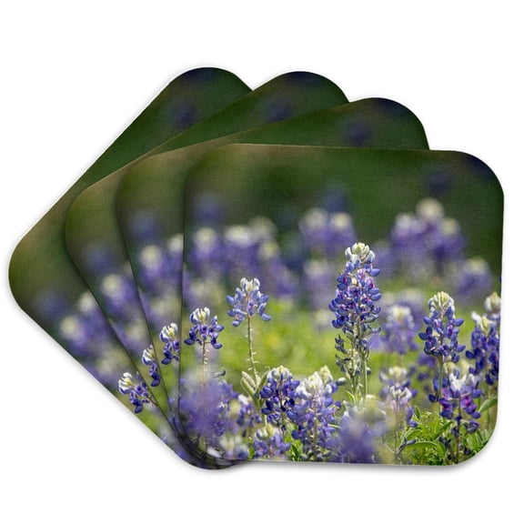 3drose, Texas Bluebonnets, Austin, Texas, Set of 4 Coasters - Soft
