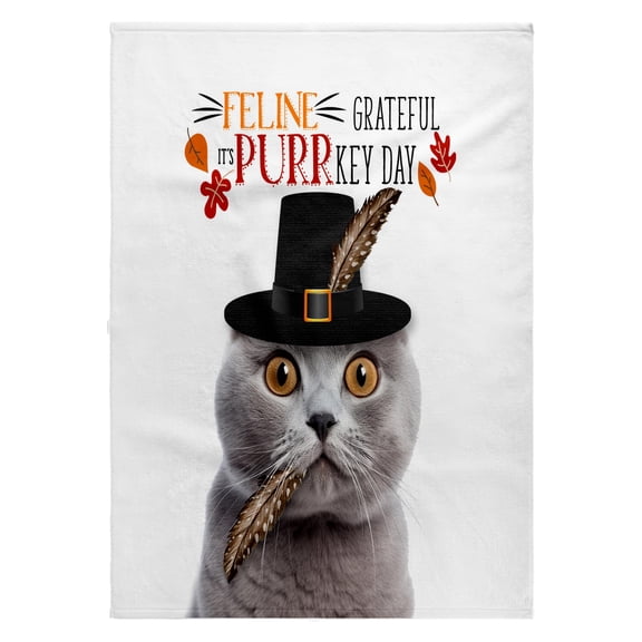 3dRose, Thanksgiving Gray Scottish Fold Kitty for the Cat Lovers Thanksgiving, 22x30 Bath Hand Pool Towel