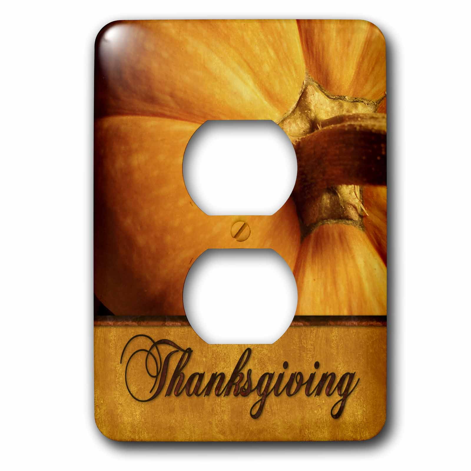 3dRose, Thanksgiving Pumpkin in Golds, 2 plug outlet cover