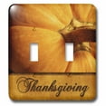 thumbnail image 1 of 3dRose, Thanksgiving Pumpkin in Golds, double toggle switch, 1 of 1