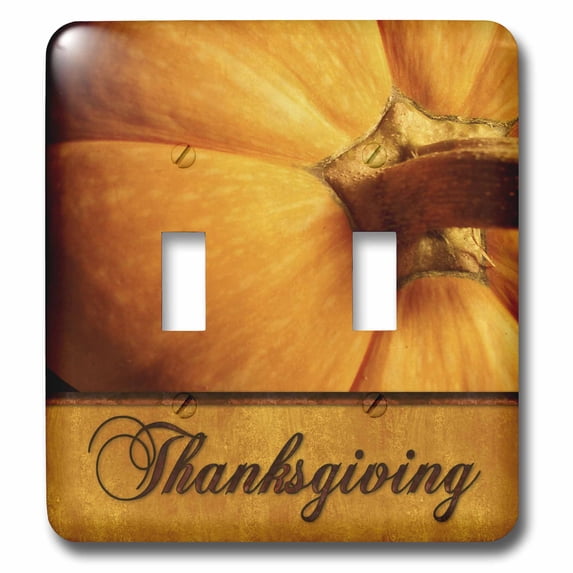 3dRose, Thanksgiving Pumpkin in Golds, double toggle switch