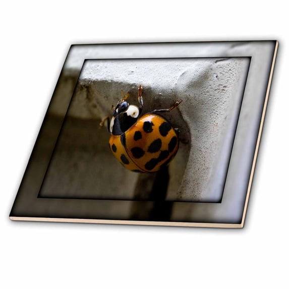 3dRose, The Art of Posing - Lady Bug Camera Hug, 4 Inch Ceramic Tile