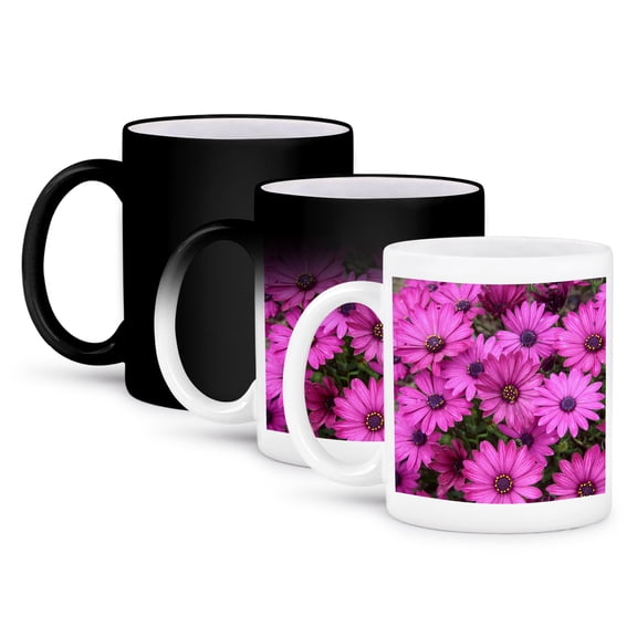 3drose, the Dragonfly Touches the Water Lightly, 11oz Magic Transforming Mug