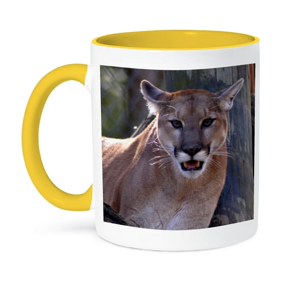 3dRose, The Eyes Say it All A cougar that looks like he is staring straight at you, 11oz Two-Tone Yellow Mug