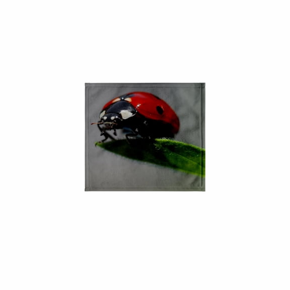 3dRose, The Ladybug - ladybug, macro, beetle, bug, insect, lady cow, lady fly, 11x12 Wash Cloth for Face and Body