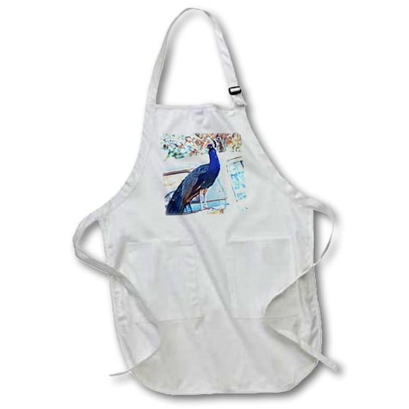 3dRose, The Peacock and the Pickup, BLACK Full Length Apron with Pockets 22w x 30l
