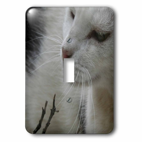 3dRose, The Whisker Trail - black and white cat, cat, cats, cute, pet, pet portrait, tuxedo, single toggle switch