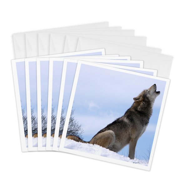 3dRose, The Wolf Howling, 6 Greeting Cards with envelopes