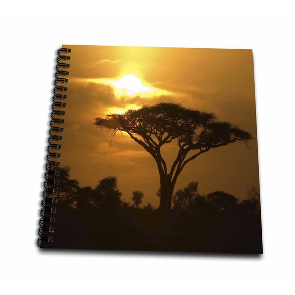 3dRose, Thorn Acacia Umbrella Tree on African Plains at Sunset Tropical Night Scene, Memory Book 12 x 12 inch