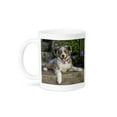 thumbnail image 1 of 3dRose, Three month old Blue Merle Australian Shepherd puppy., 11oz Mug, 1 of 3