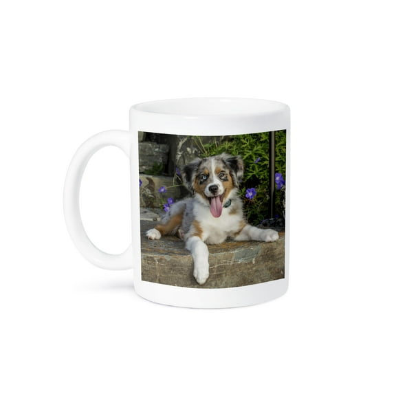 3dRose, Three month old Blue Merle Australian Shepherd puppy., 11oz Mug