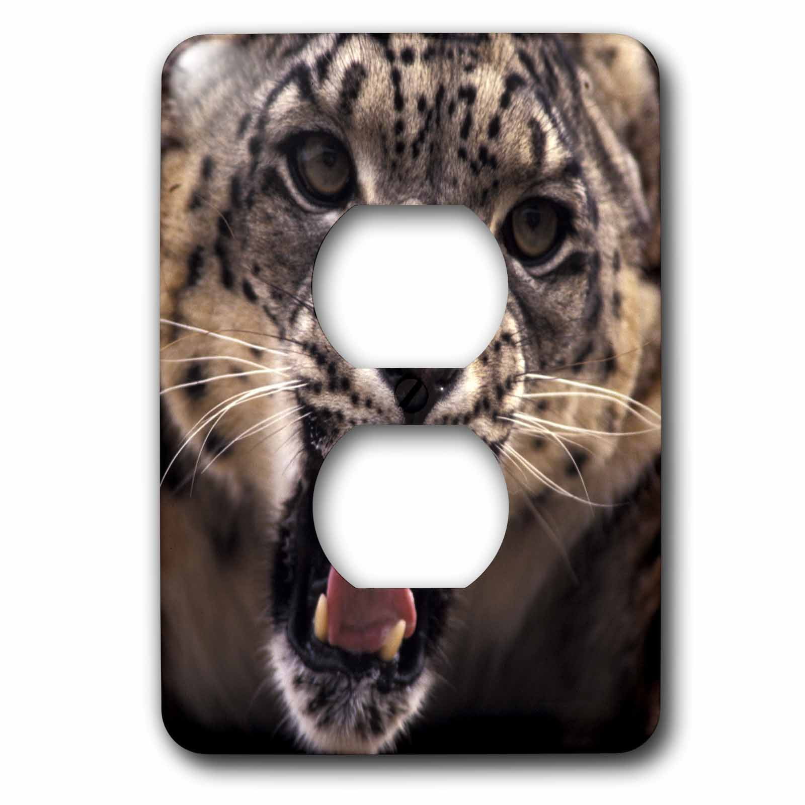 3dRose, Tibet, Snow Leopard, captive-AS42 SWE0001 - Stuart Westmorland, 2 plug outlet cover