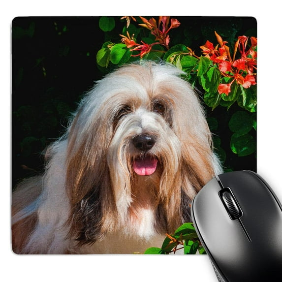 3dRose, Tibetan Terrier portrait by flowers, MR,, MousePad