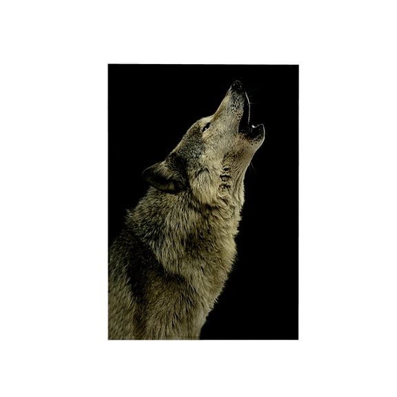 3dRose, Timber Wolf, 15x22 Hand Towel