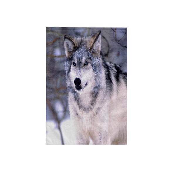 3dRose, Timber Wolf, Canis Lupus - NA02 DNO0319 - David Northcott, 15x22 Hand Towel