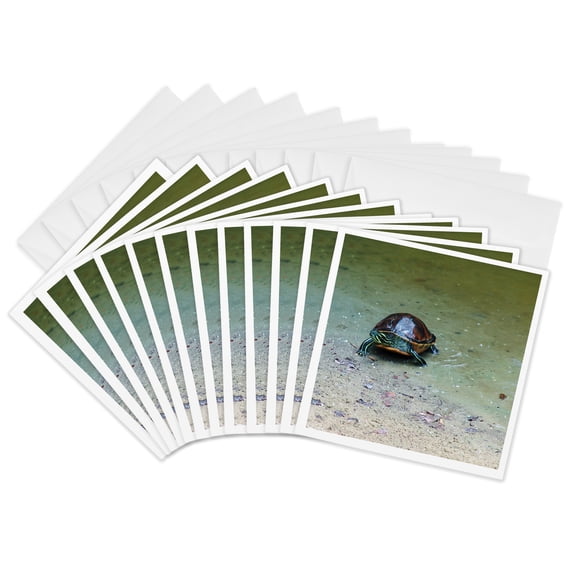 3drose, Tommy Turtle, 12 Greeting Cards with Envelopes
