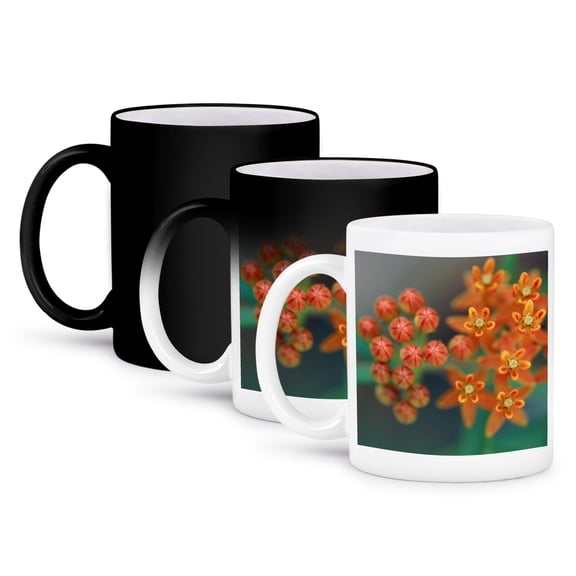 3dRose, Top view macro photo of orange flowers of a butterfly weed plant., 11oz Magic Transforming Mug