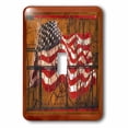 thumbnail image 1 of 3dRose, Train Flag, single toggle switch, 1 of 1