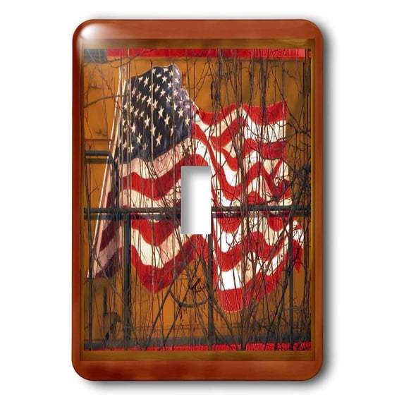 3dRose, Train Flag, single toggle switch