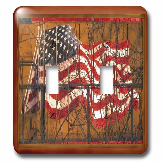 3dRose, Train Flag, double toggle switch