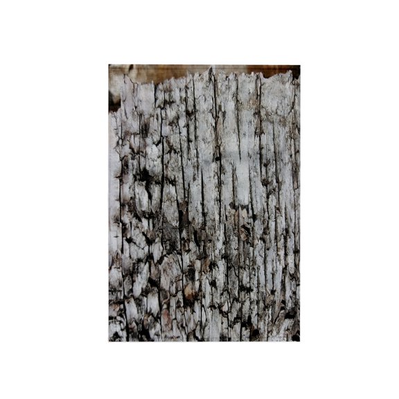 3dRose, Tree Bark Dry Cracked, 15x22 Hand Towel