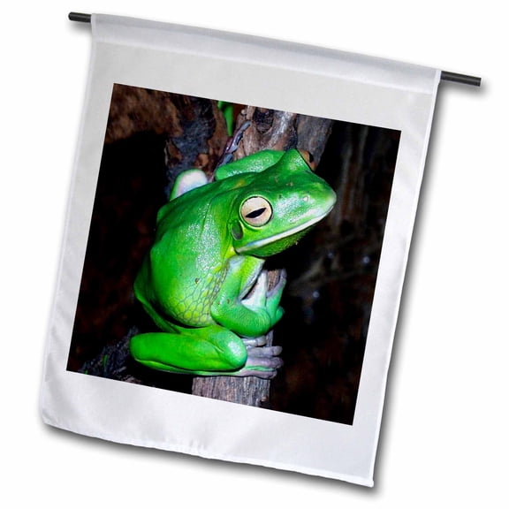 3dRose, Tree Frog, 12 x 18 inch Garden Flag