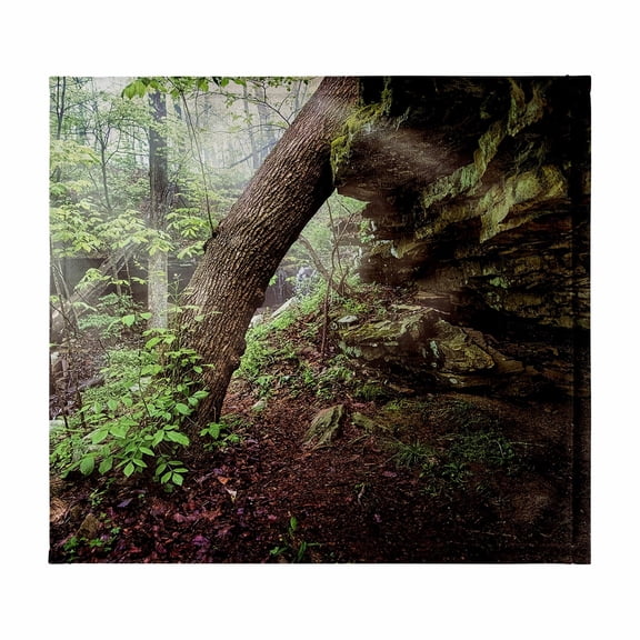 3dRose, Tree and Overhang in Monte Sano State Park, 11x12 Wash Cloth for Face and Body