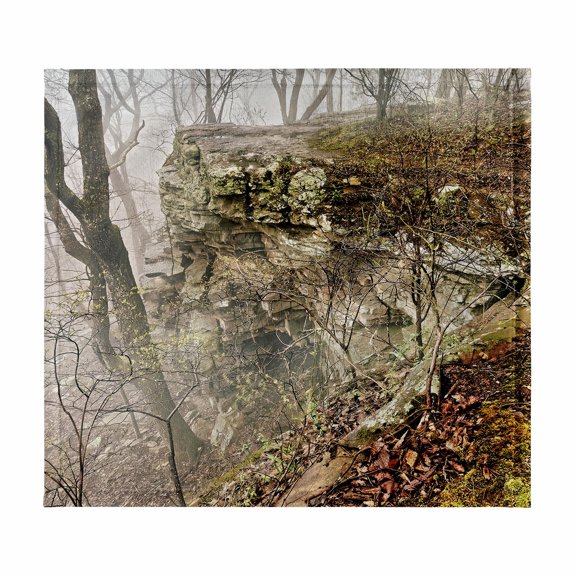 3dRose, Tree at the Cliffs Edge in Monte Sano State Park, 11x12 Wash Cloth for Face and Body