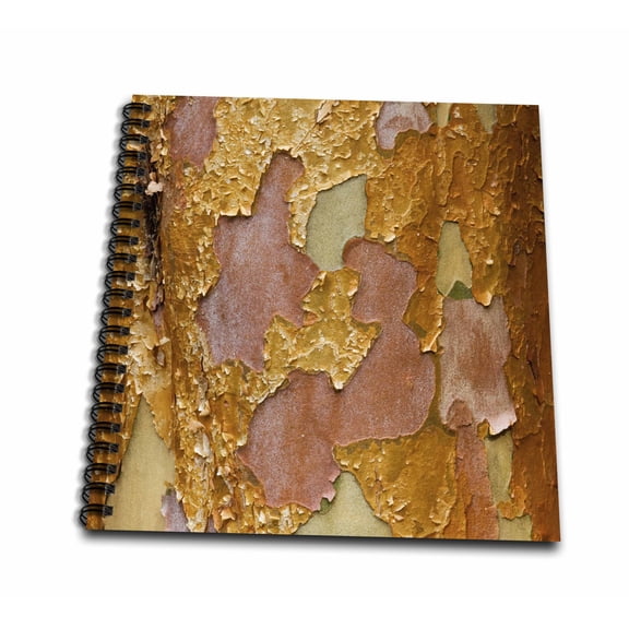 3dRose, Tree bark, Washington Arboretum, Seattle - US48 DGU0234 - Darrell Gulin, Drawing Book 8 x 8 inch