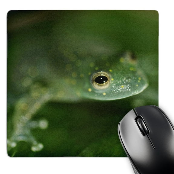 3dRose, Tree frog, MousePad