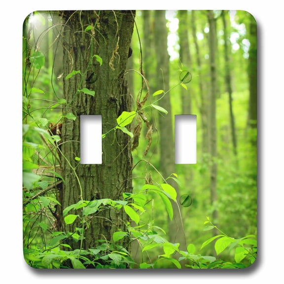 3dRose, Trees Green Forest Leaves, double toggle switch