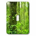thumbnail image 1 of 3dRose, Trees Green Forest Leaves, single toggle switch, 1 of 1