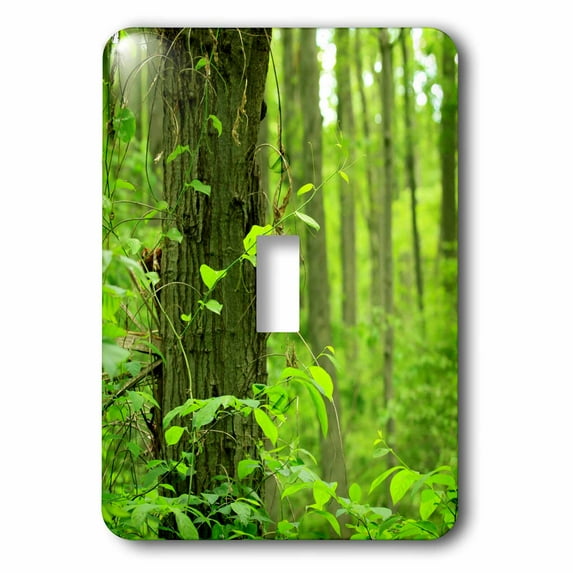 3dRose, Trees Green Forest Leaves, single toggle switch