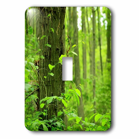 3dRose, Trees Green Forest Leaves, single toggle switch