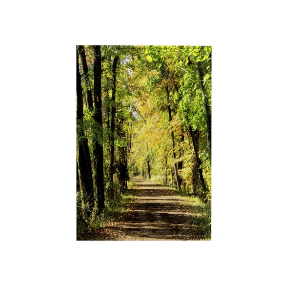 3dRose, Trees Path Canopy Green Yellow Brown, 15x22 Hand Towel