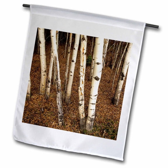 3dRose, Trembling aspen trees, Populus tremuloides, Yukon-CN12 PCL0001 - Paul Colangelo, 12 x 18 inch Garden Flag
