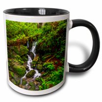 3drose, Trillium Falls, Prairie Creek Redwood State Park, California, 11oz Two-tone Black Mug