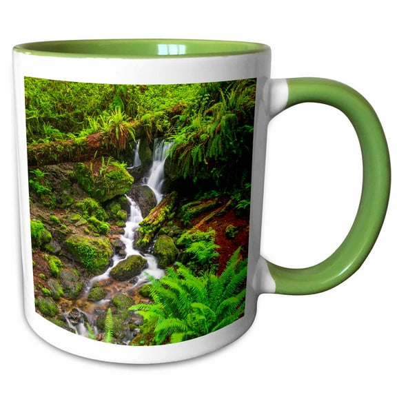 3drose, Trillium Falls, Prairie Creek Redwood State Park, California, 11oz Two-tone Green Mug