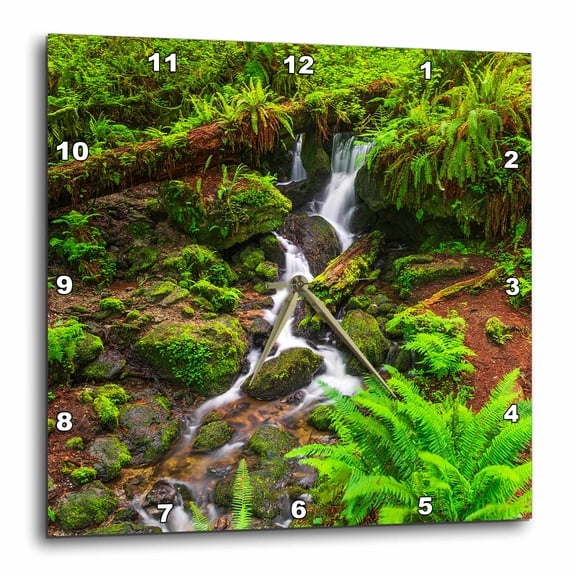 3drose, Trillium Falls, Prairie Creek Redwood State Park, California, 15x15 Wall Clock