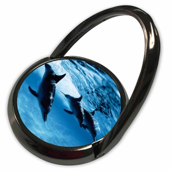 3dRose, Trio of Dolphins , Phone Ring