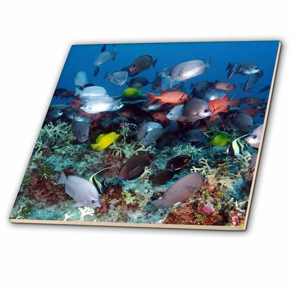 3dRose, Tropical Coral Reef Fish, 6 Inch Ceramic Tile