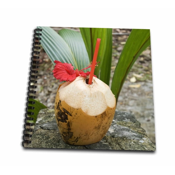 3dRose, Tropical cocktail drink on Fregate Island, Seychelles-AF39 AWR0126 - Alison Wright, Mini Notepad 4 x 4 inch