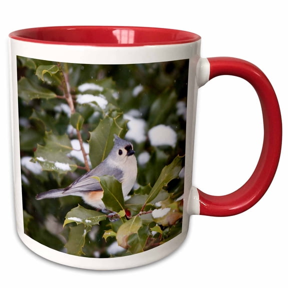 3drose, Tufted Titmouse in American Holly Tree, Winter, Marion, Illinois, Usa, 11oz Two-tone Red Mug