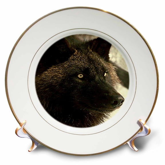 3dRose, Tundra Wolf, 8 inch Porcelain Plate