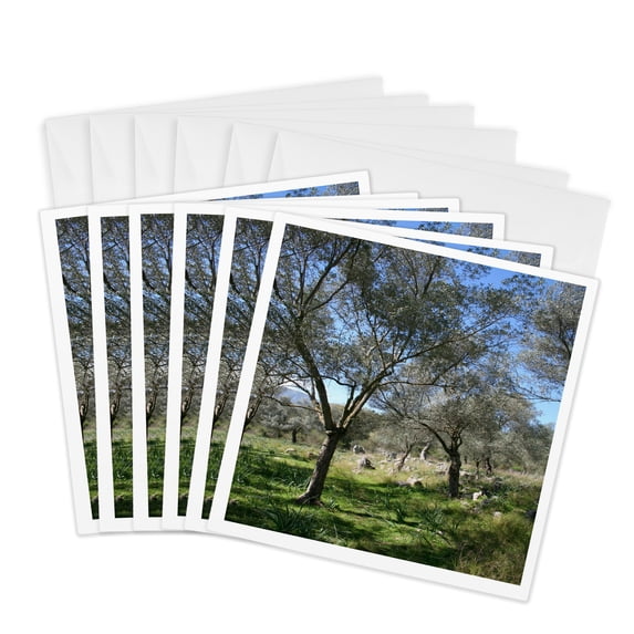 3drose, Turkish Olive Grove-olive Olea Europaea, Small Tree in the Family Oleaceae, 6 Greeting Cards with Envelopes