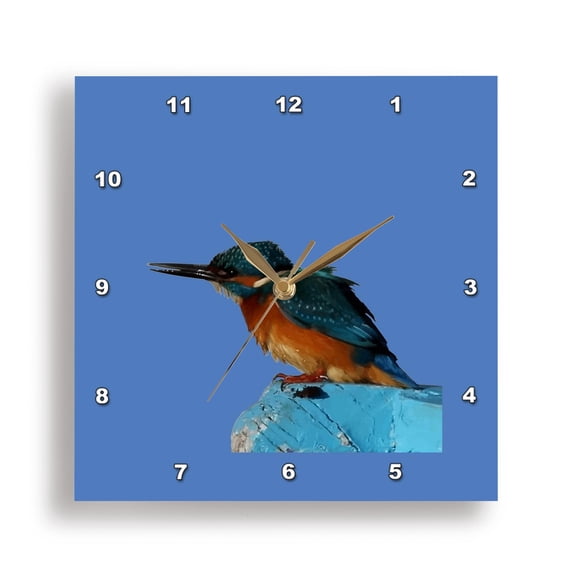 3dRose, Turquoise Blue Fishing Bird Vector Art, 15x15 Wall Clock