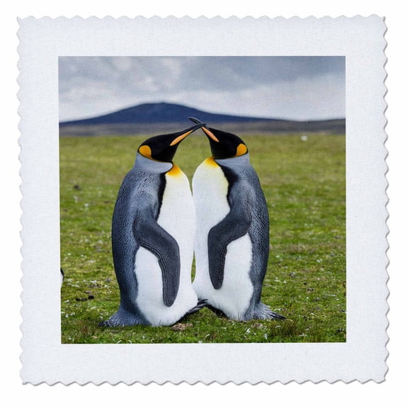 3dRose, Two King Penguins, Falkland Islands, 8x8 inch quilt square