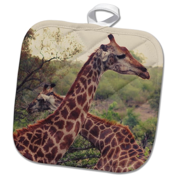 3dRose, Two Lovely Giraffes with Long Necks with Trees in the Background, 8x8 Potholder