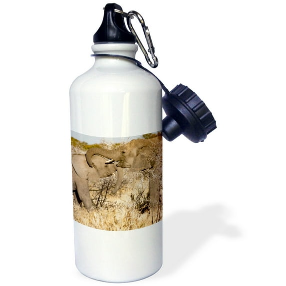 3dRose, Two elephants playing, Flip Straw 21oz Water Bottle