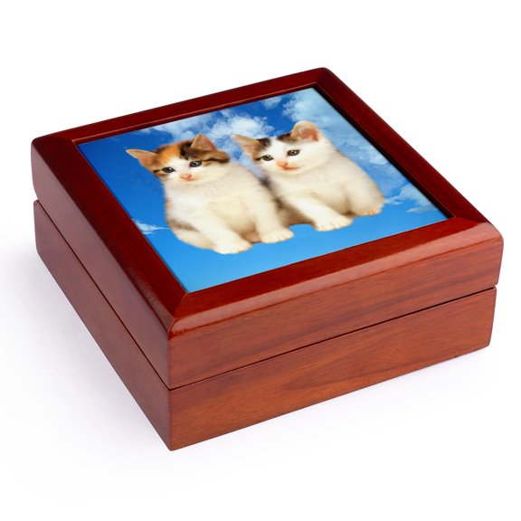 3dRose, Two kittens, Jewelry Box 5.5x5.5 inch with 4 inch tile